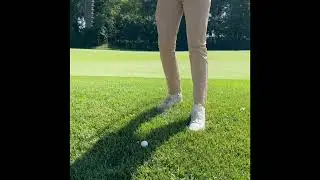 PGA PGM Rules Tutorial Video