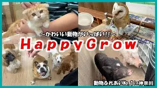 【HappyGrow(ハッピーグロウ)】動物ふれあいNo 1in神奈川～かわいい動物がいっぱい！～