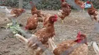 Devecseri start munkaprogram jelene &eacute;s j&ouml;vője