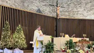 SAINT HILARY: BISHOP AND DOCTOR OF THE CHURCH. CATHOLIC DAILY REFLECTION. HOMILY. 1/13/2026