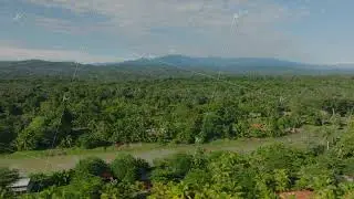 Aerial top view forest tree, a rainforest ecosystem and healthy environment. Flying over summer