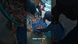 Tanur Fishing Harbour | Tanur Beach
