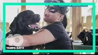 Air Force veteran says her new service dog saved her life