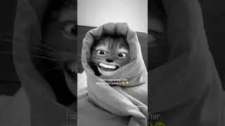 bts v mew insta story 🤣🤣#funny #bts #v #taehyung #instagram