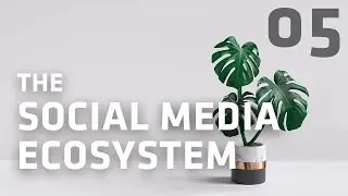Social Sessions with Mosh: Social Media Ecosystem