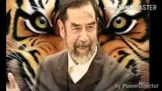 راح الزعيم ألي علينا خسارة تصميم بوأمل الشحي