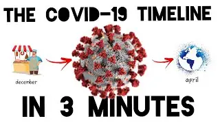 The Coronavirus timeline, explained
