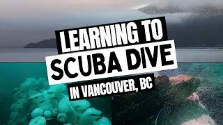 The Best SCUBA Training in Vancouver, BC #britishcolumbia #diving