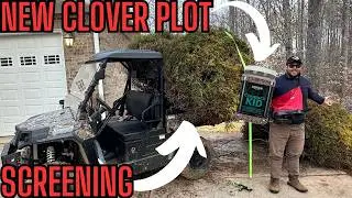 Making Small Improvements | Planting Some Trees and Clover
