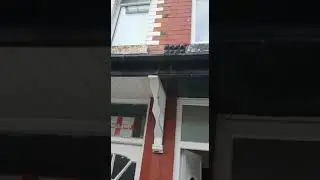 16 Fold Street - 17th August 2020 (Part 2)