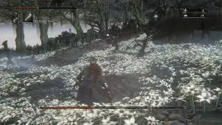 Bloodborne cheese strat the Moon Presence