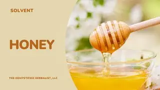 Honey as a Solvent in Herbal Preparations