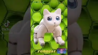 Robocat #in-the-world-of-IT #technoblog #robocat #в-мире-ИТ #robot #wild #mars #videocall #download