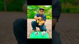 Cow RC VS  Elephant RC. Let's see who loses ? 🤣 #animals #shorts #cows #elephant #toys #rc  #crash