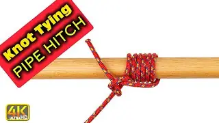 How to Tie Pipe Hitch - Lift a Pipe or Pole with Rope (4k UHD) #knottying