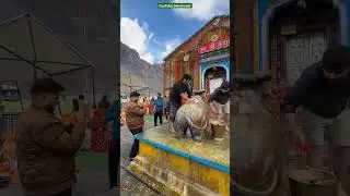 Pradosham In Kedarnath | #shiva #kedarnath #live 🙏