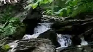 Moorman's River South Fork