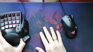 რეიზერის კლავიატურა და მაუსი/Razer DeathAdder Elite & Tartarus V2