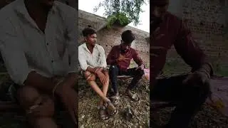ગયા by by......😁#ThaiShorts  #AvaTiger  #ThailandViral  #Golden  #CuteAnimals #ViralVideo