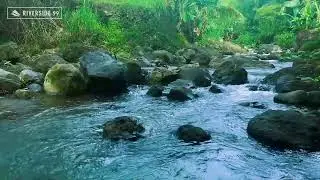 River Sounds for Sleeping Tonight | Continuous Water Flow for Deep Rest 24/7