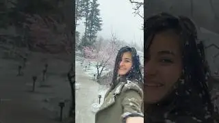 Manali right now ❄️Winters came early #snow #manali #himachalpradesh #winter #shortsvideo #shorts