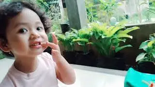 Vlog Keluarga | makan permen YUPI Burger dan Sandwich enak  | Annchi dan Rara Ketagihan lagi