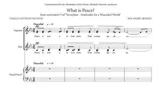 Kim Andr&eacute; Arnesen - What is Peace? (Score video)