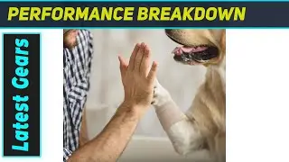 Sinmoe 30 Rolls Elastic Tape: Amazing Self-Adhesive Support for Sports & Pets!
