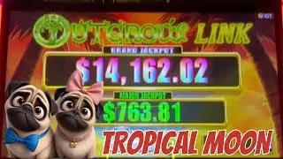 Unleash the FUN with Outgrow Link Tropical Moon Slot Machine! | Gambling Pugs