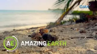 Amazing Earth: Square Waves Alert
