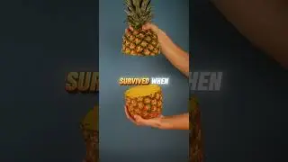People Rented Pineapple for Parties in 1700 #facts #history #factshorts #food #historia