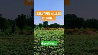 BEAUTIFUL VILLAGE OF INDIA | Green Fields