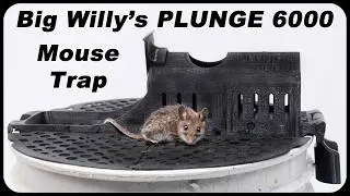 BIG WILLIE'S Plunge 6,000 Amazing Mouse Trap. Mousetrap Monday