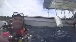 Cathedral Dive