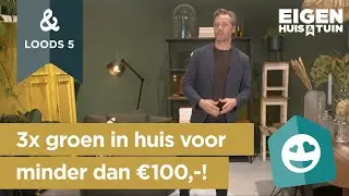 3x groen in huis voor minder dan &euro;100,- | #loods5