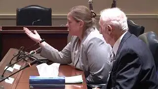 Stop the Seizures - Mommy Lobby:  Medical Cannabis in Maryland Hearing in House
