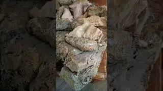 Это уже просто безумие.