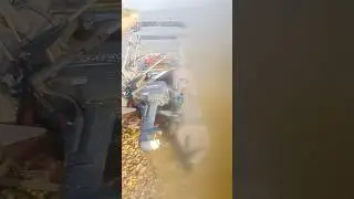 Dolphin attacks fisherman in Azov Sea. Yeysk