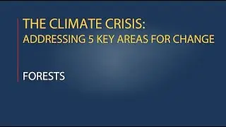 The Climate Crisis: Addressing 5 Key Areas for Change: Part 1 - Forests