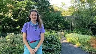 Gardener's Almanac   Injury Prevention in the Garden