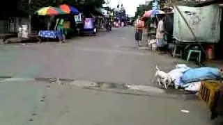 11042010006