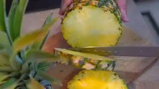 Kanai A Nalu 416 | Ma'alaea | Maui | Hawai'i | I Go Maui