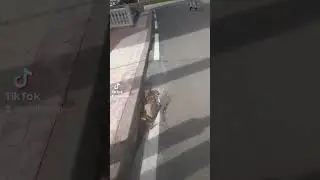 بني واسن طنجة بعد مرور سنة