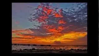 pulau semak daun , botoy crew