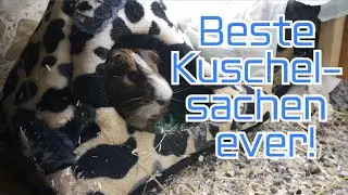 Neue Kuschelsachen f&uuml;r die Meerschweinchen (MegicalPetworld)