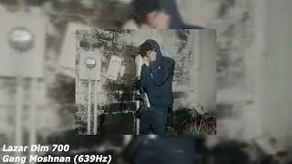 Lazar Dim 700 - Gang Moshnan (639Hz)