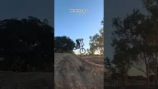 Whip @Eucalyptus.BikePark