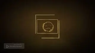 TRAP COIN NATION