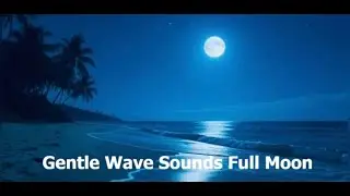 12 Hours Moonlight Tropical Beach 🌕 Healing Ocean Waves for Deep Sleep & Insomnia