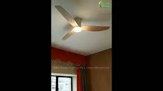 Ceiling Fan iconic (Australia) - Loft Ceiling Fan 風扇燈 / 吊扇燈 @ 燈堂入室 Indoor Lighting